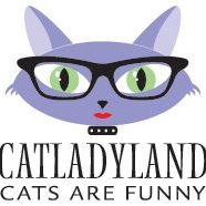 Cat Lady Land - Cute Kitty Blogs