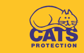 Cats Protection Blog - Cute Kitty Blogs