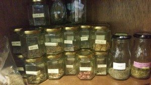 My Herb Collection