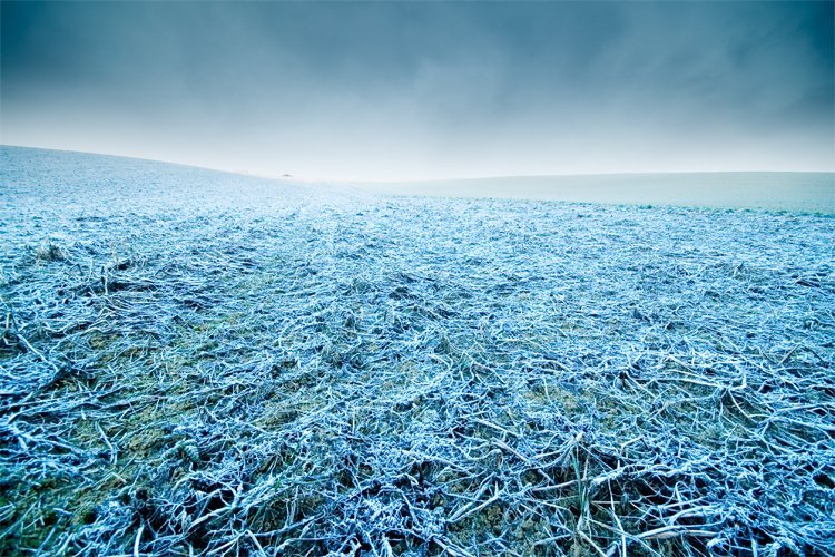 tips for Running in the winter - cold frosty morning