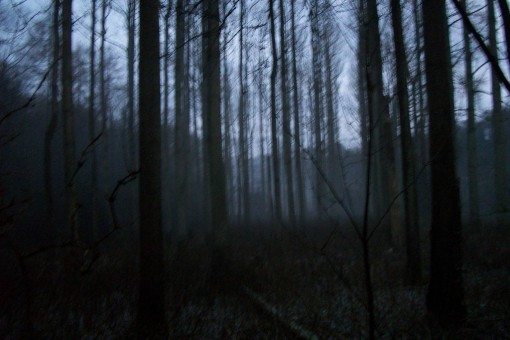 Running in the dark, tips for running in winter - dark woods