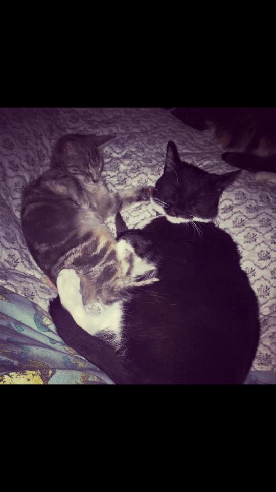 Narla 11 months & Arthur 2 years