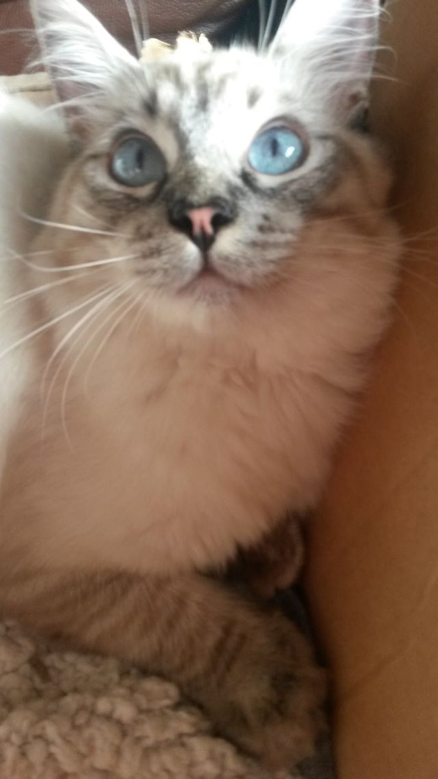 Ronnie Kray 19 months