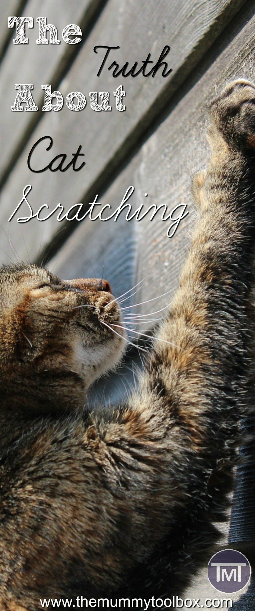 What's with all the scratching? Answering the kitty questions about; scratching, behaviour, types of posts and getting them off the furniture! Plus some homemade projects that are a frugal alternative to stop you having to buy some!
