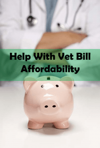 help with vet bill affordability