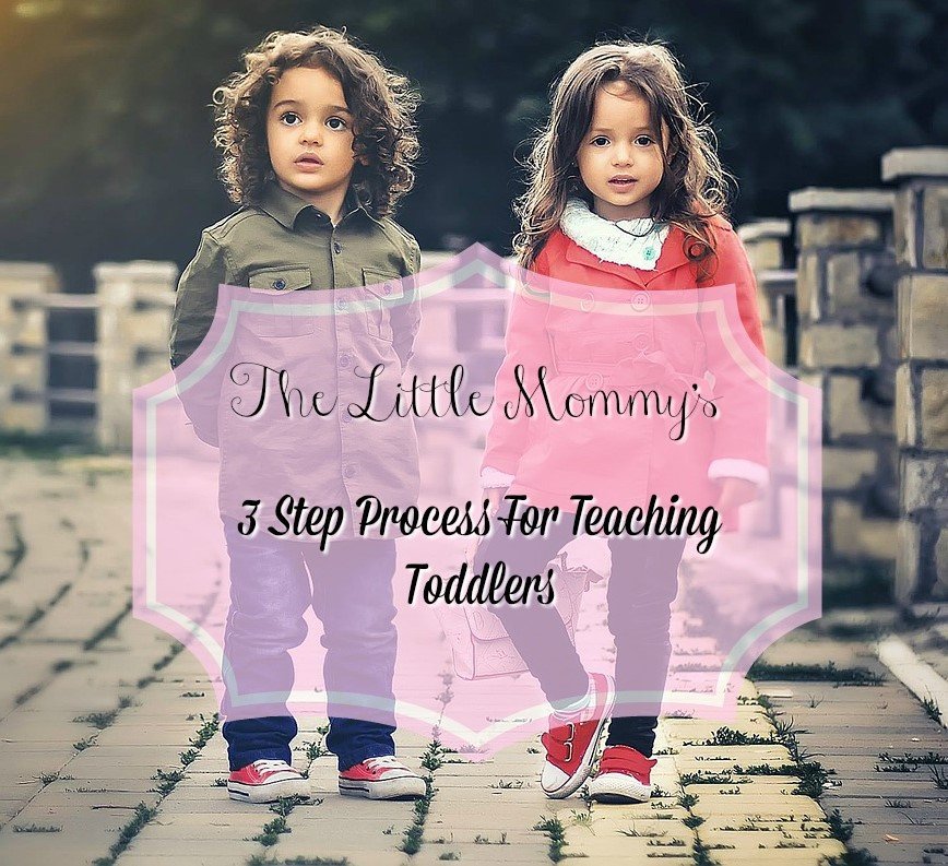 3 Step Process For Teaching Toddlers - Guest Post by Lindsey From The Little Mommy