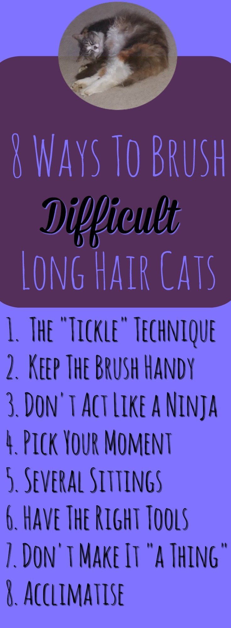 8 ways to brush difficult long hair cats