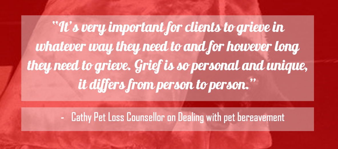 Cathy pet loss counsellor on Pet Bereavement