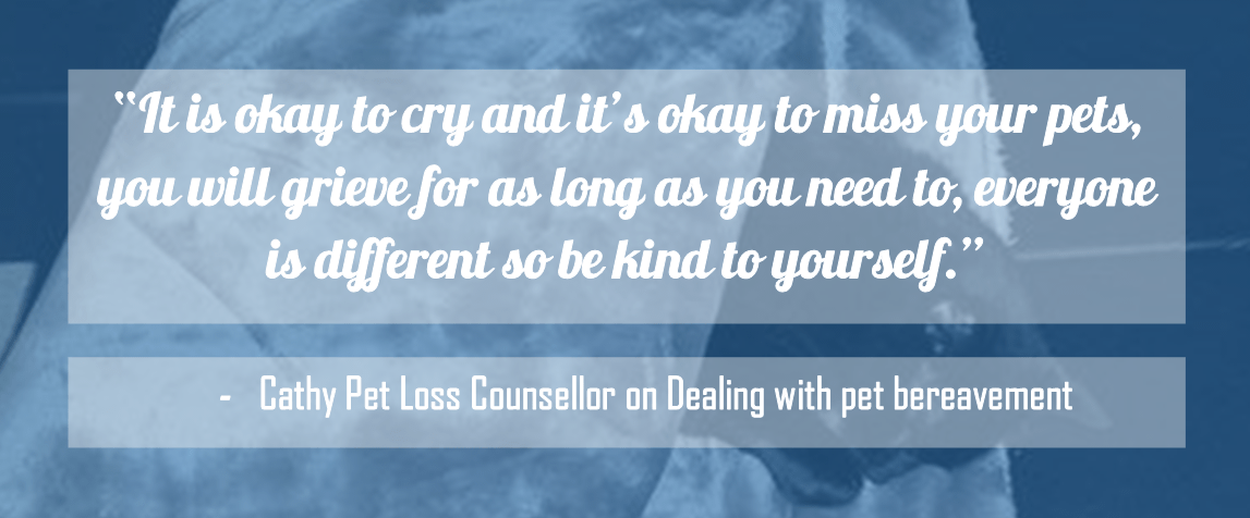 Cathy Pet Loss counsellor on Pet Bereavement