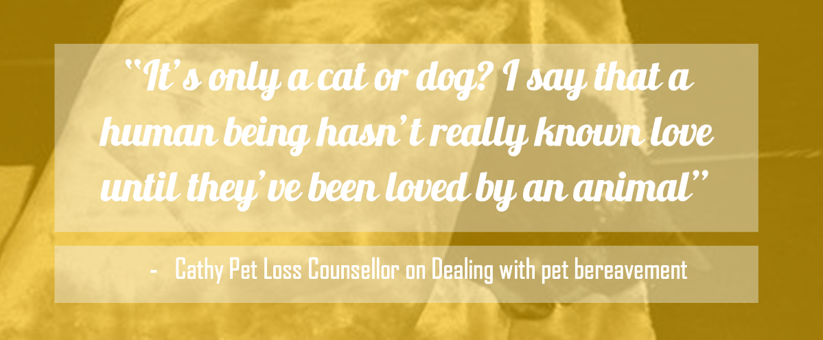 Cathy Pet Loss Counsellor on pet bereavement 