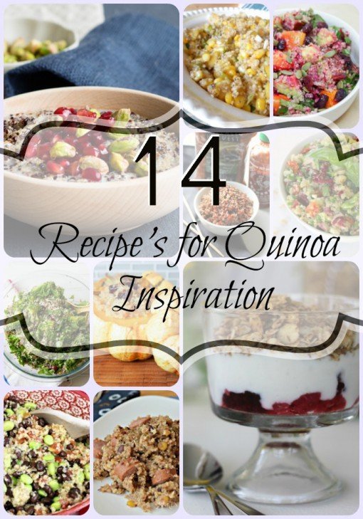 14 Recipe's for Quinoa Inspiration - healthy, packed full of protein and tasty too! here are some ways to make quinoa more exciting for breakfast, lunch or dinner (or even dessert)