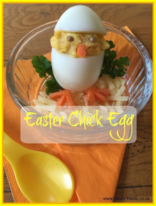 Easter Chick Eggs by Handy Herbs