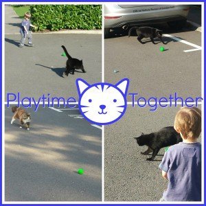 Playtime together - Cats vs toddlers