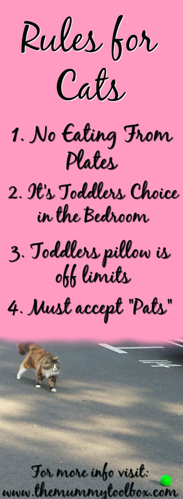 Rules for the Cats – Cats vs Toddlers