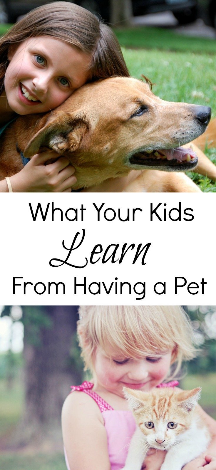 What your kids can learn from having a pet, the life lessons and responsibilities it teaches them and the types of children it can help