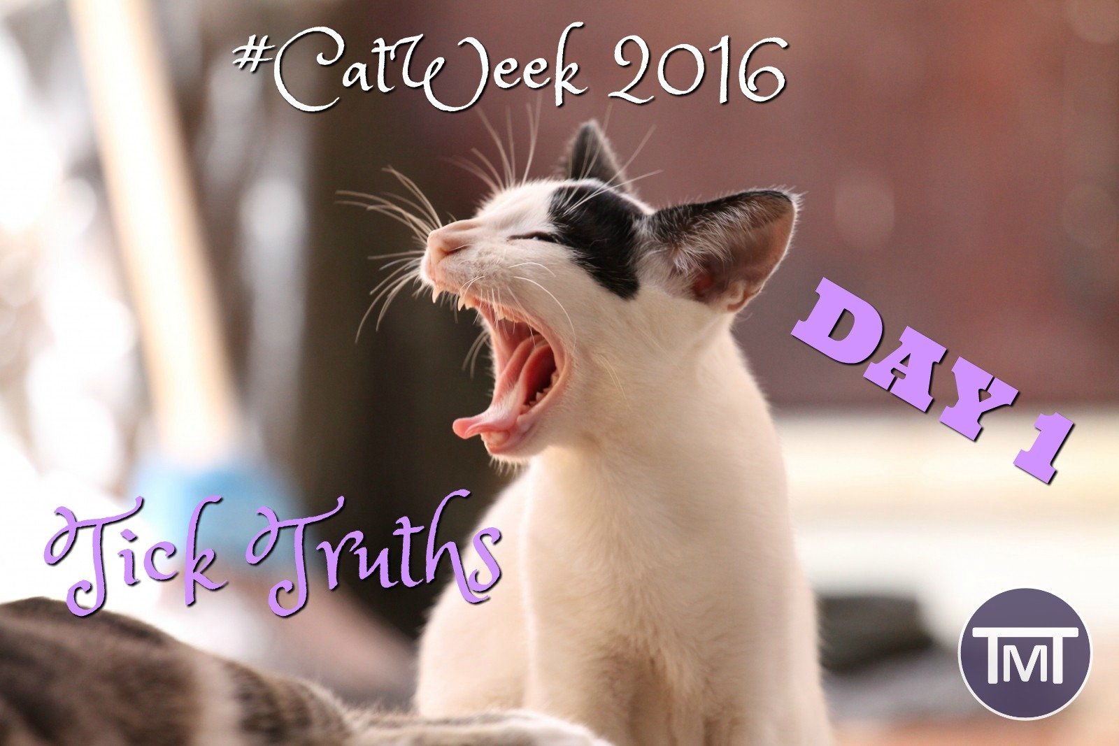 #CatWeek 2016 - Day 1 - Tick Truths - Feature Image