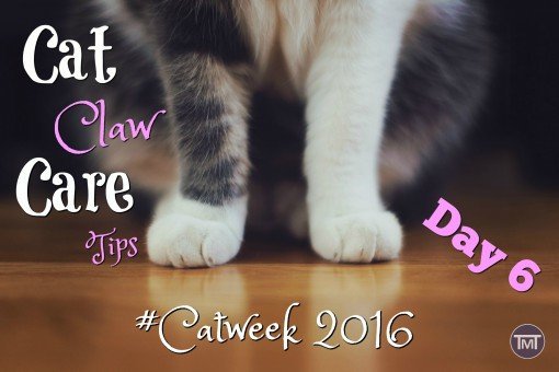 Picture Idea: Cat Claw Care Tips