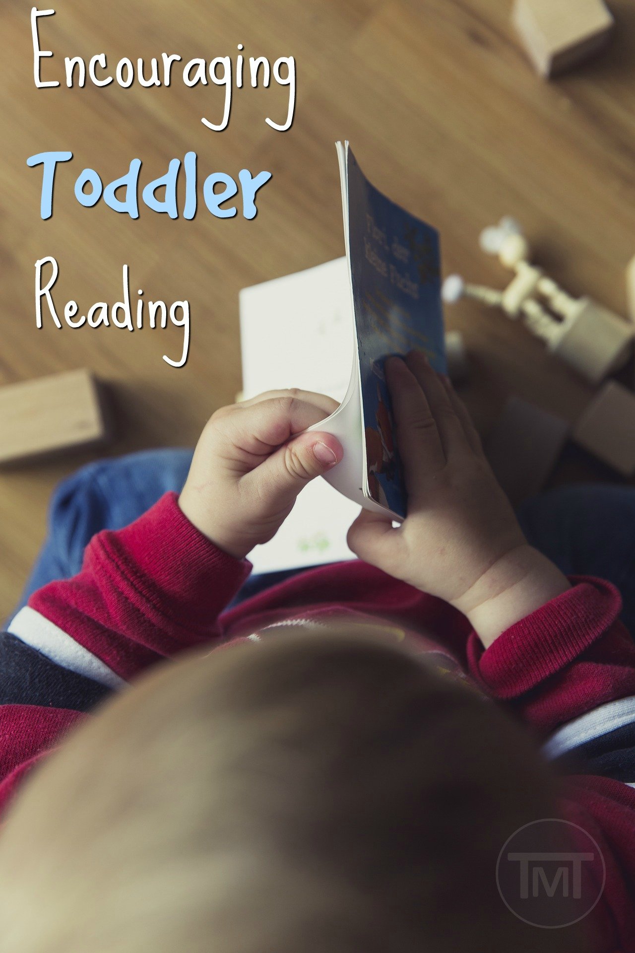 Toddler reading can be a painful experience as they are learning but it is the foundation of learning so here are some ways to make it bearable and fun.