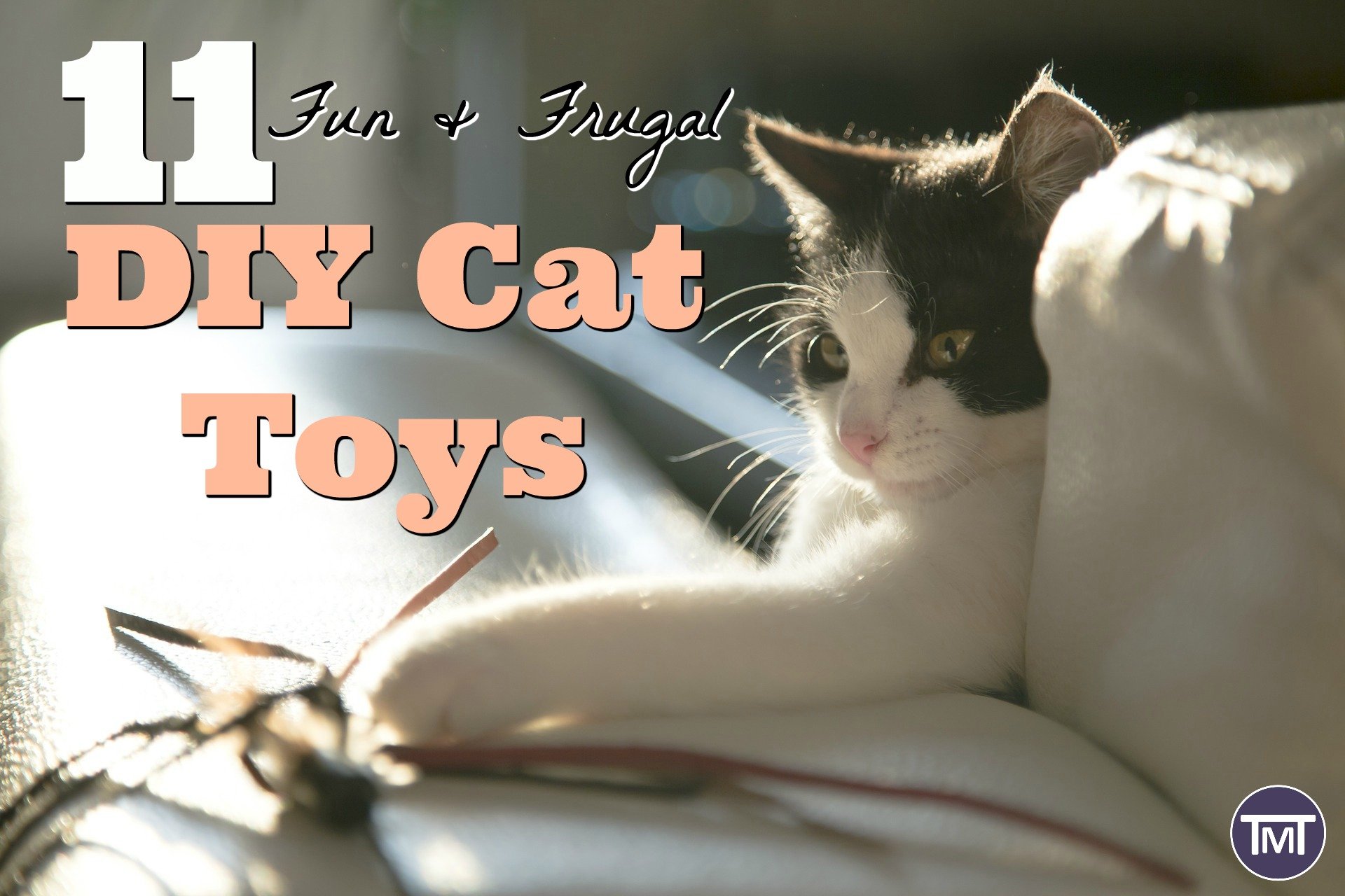 11 fun and frugal DIY cat toys feature image