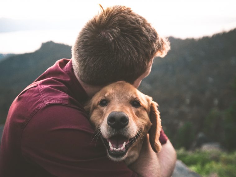 illnesses you can transfer to your pet feature image. Man facing away from camera hugging a golden retriever with landscape in the background